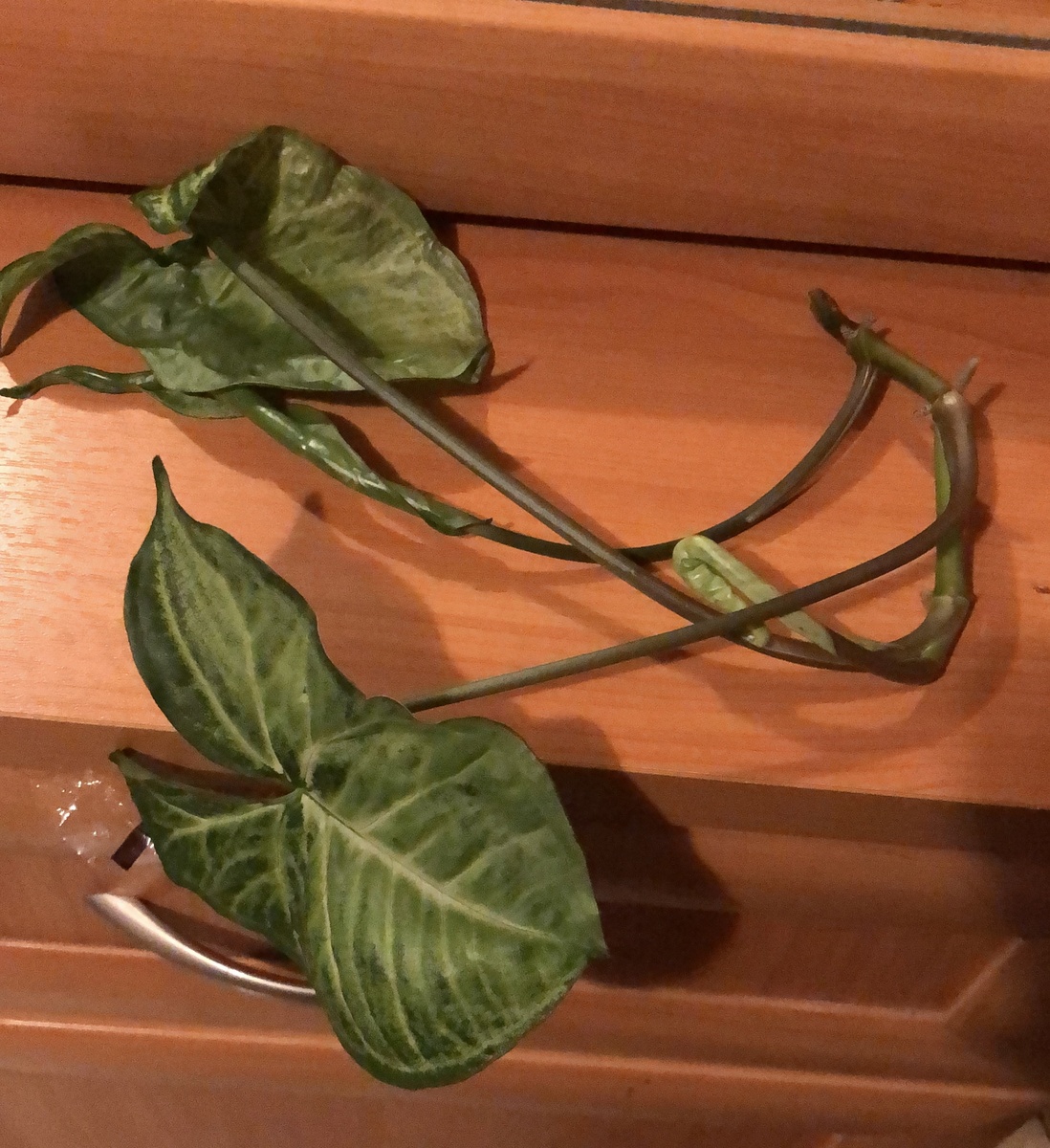 Приехал с работы в ахере, стоял на проходном двору