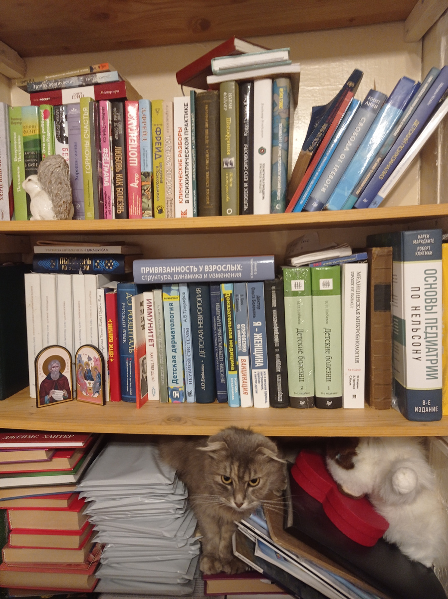 Мой бухгалтер ведёт учёт доходов