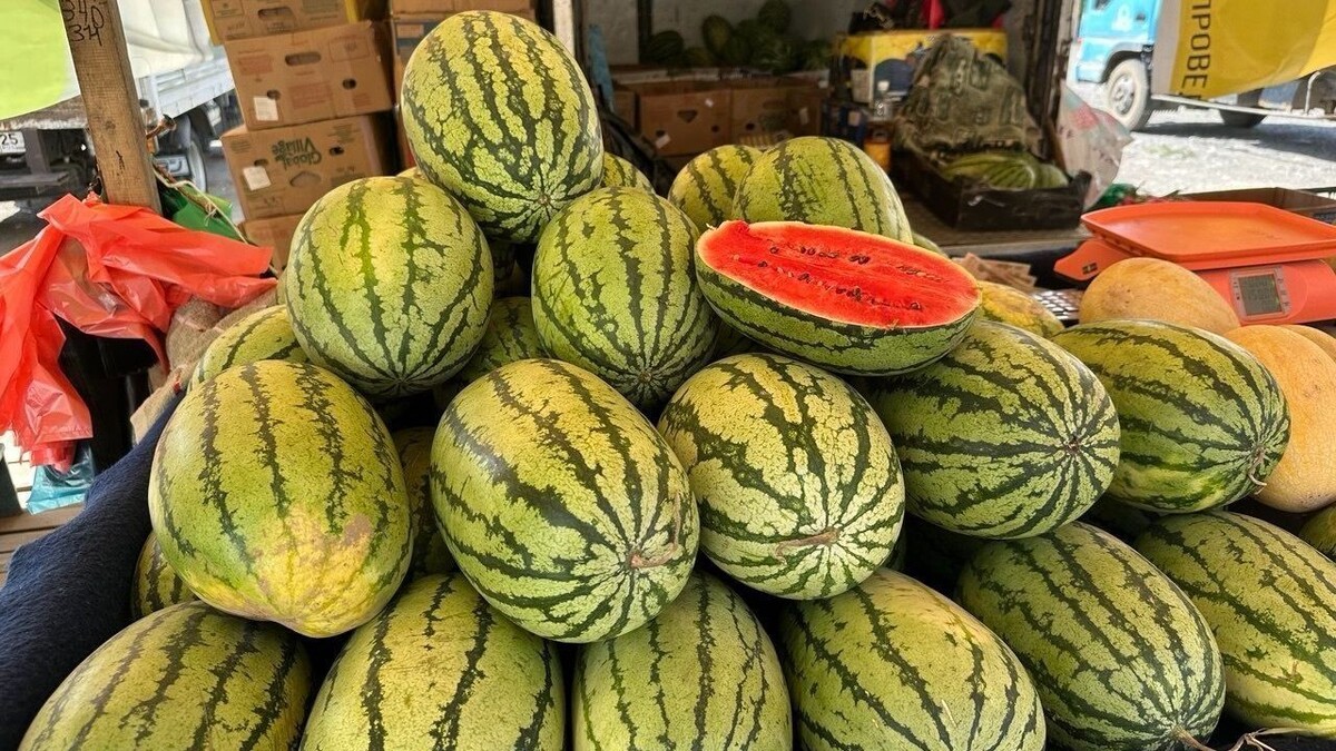     Источник: vostokmedia.com