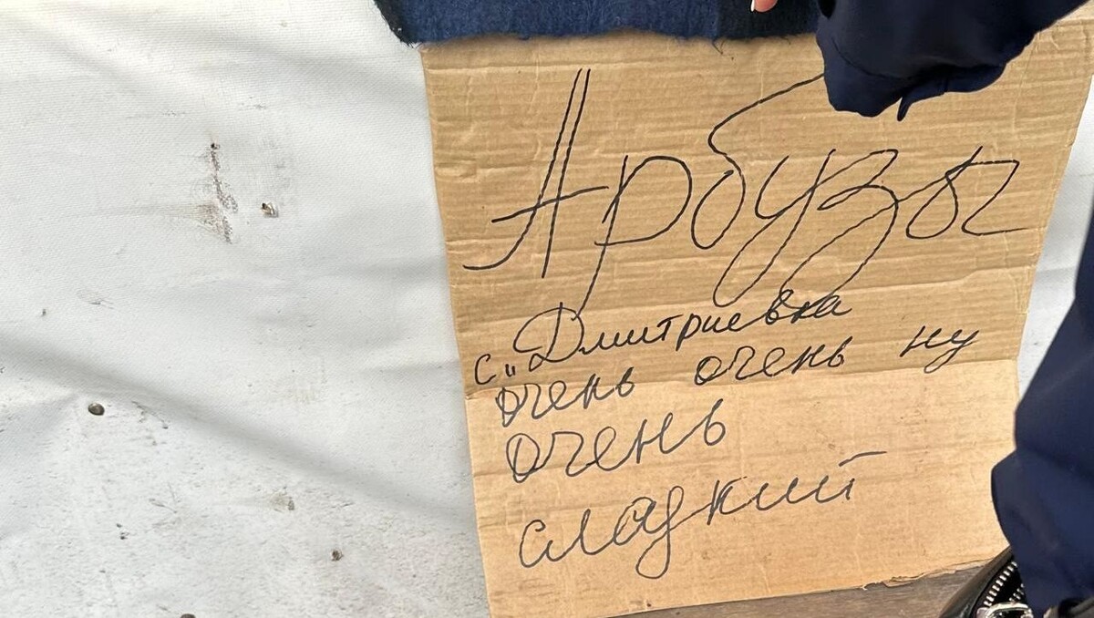     Источник: vostokmedia.com