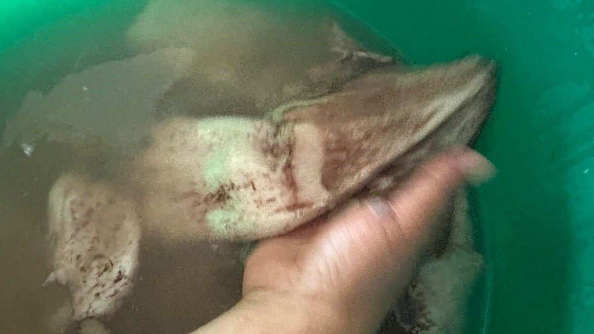     Источник: vostokmedia.com