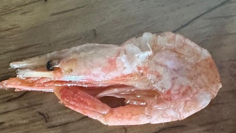     Источник: vostokmedia.com