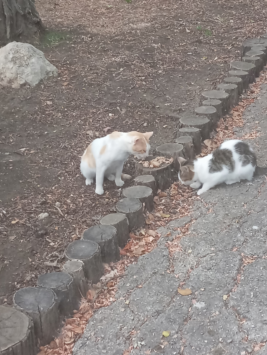 Семейная трапеза. 