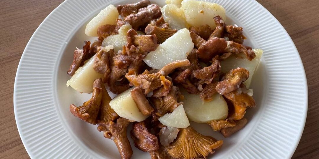 Жареные лисички с картошкой, маслом и солью (без специй!) открыли мне портал в детство