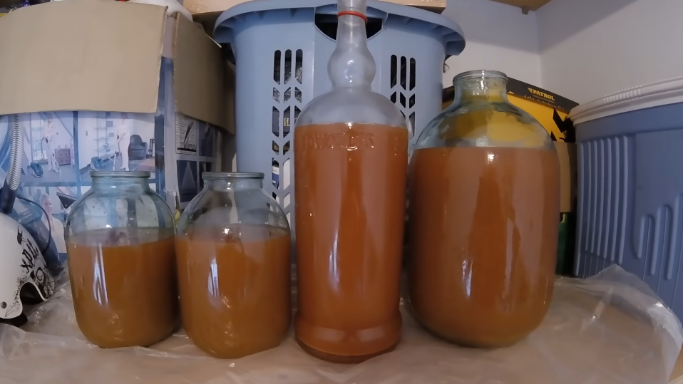 Готовлю домашний сидр по 3 рецептам вместо покупки дорогого. За 21 день получаю напиток с экономией 40% от магазинного