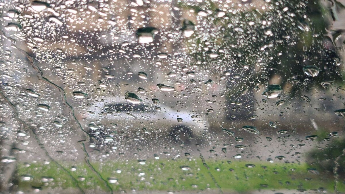    Фото: телеканал «Краснодар»