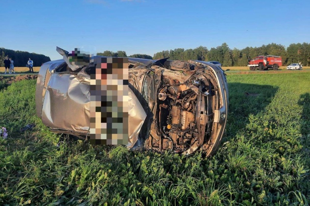    Фото © Telegram / Госавтоинспекция Тюменской области