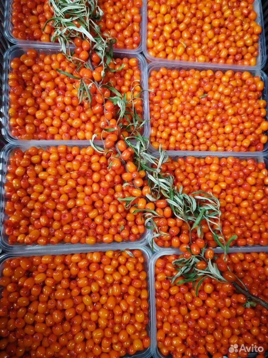    Облепиху продают в Алтайском крае. Источник: avito.ru