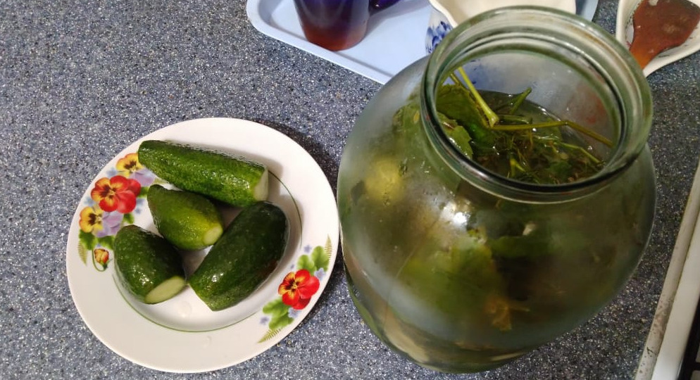 Готовлю хрустящие огурцы дедовским способом за 15 минут. Банки перестали взрываться и портиться