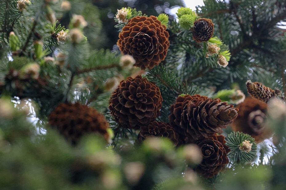    Сергей Булкин/NEWS.ru