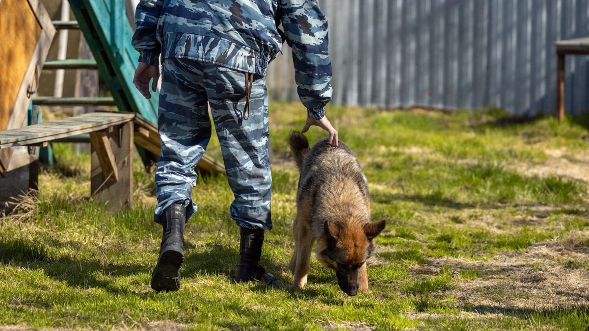    Фото: Федор Воронов / «Ямал-Медиа»