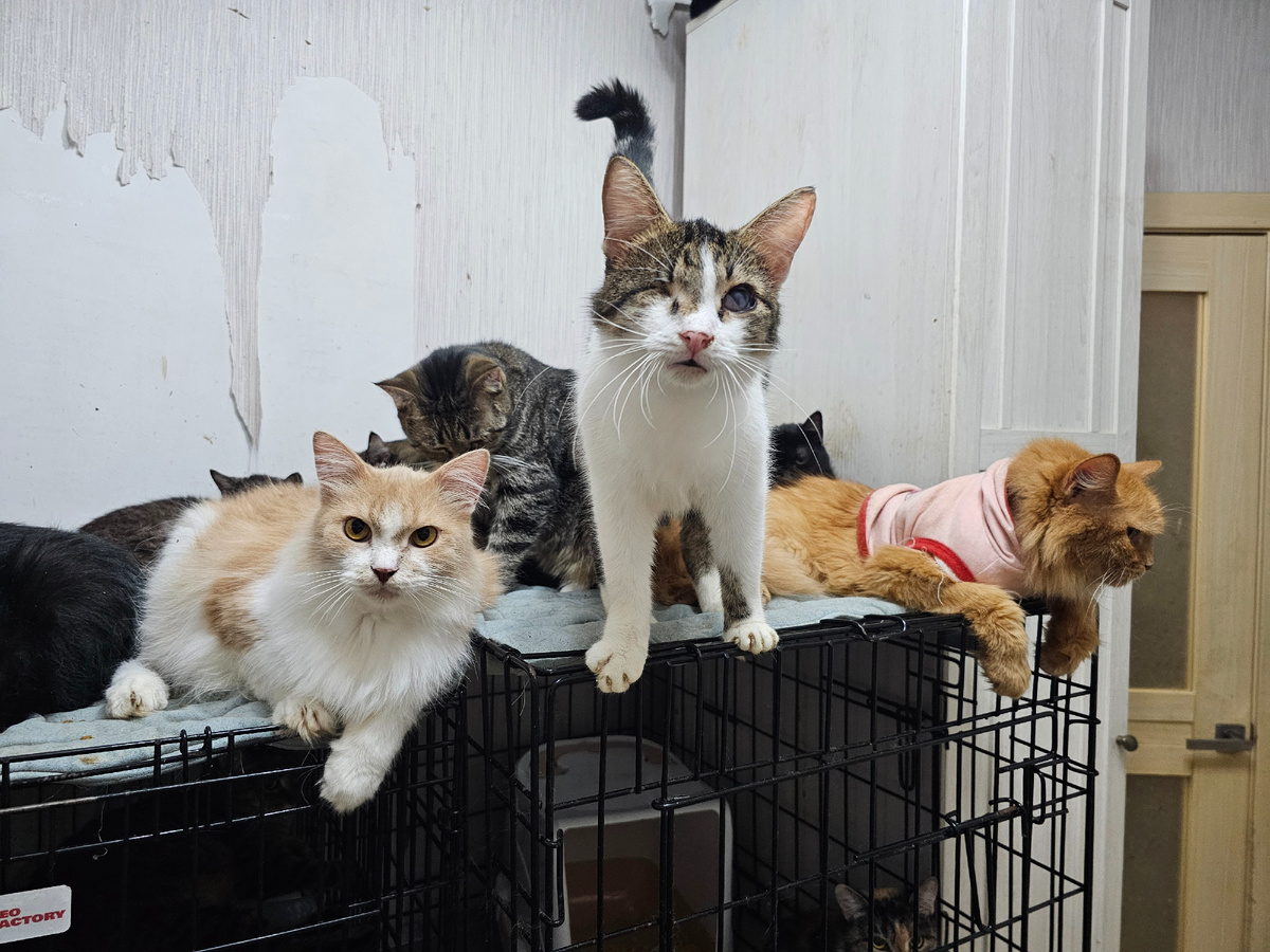 Фото автора. Ребята.