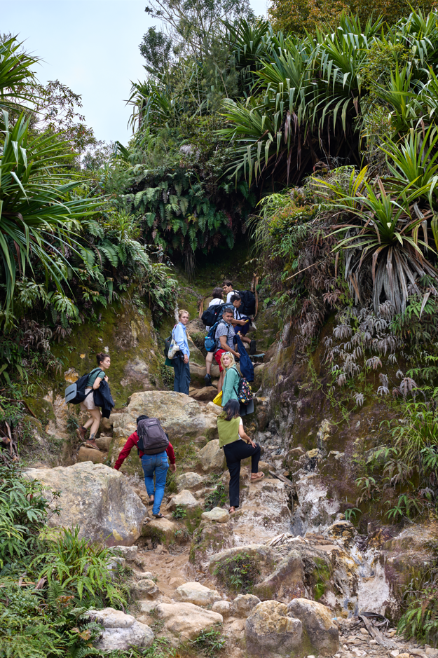 Маршрут в национальном парке Гунунг, Суматра