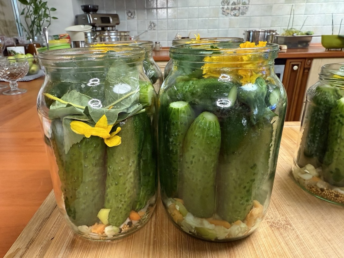 Фото автора канала Дом с кипарисами