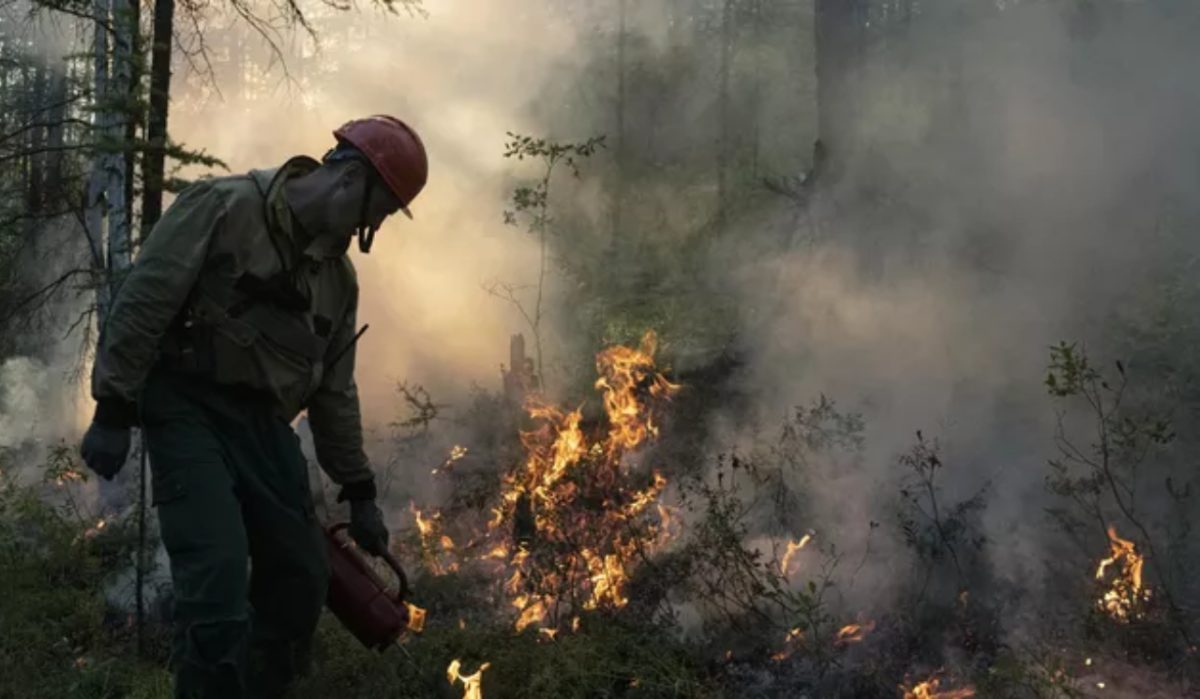     Сотрудник ФБУ "Авиалесоохрана". Источник: ria.ru Автор фото: Валерий Мельников