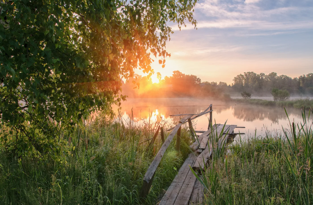 Яндекс картинки