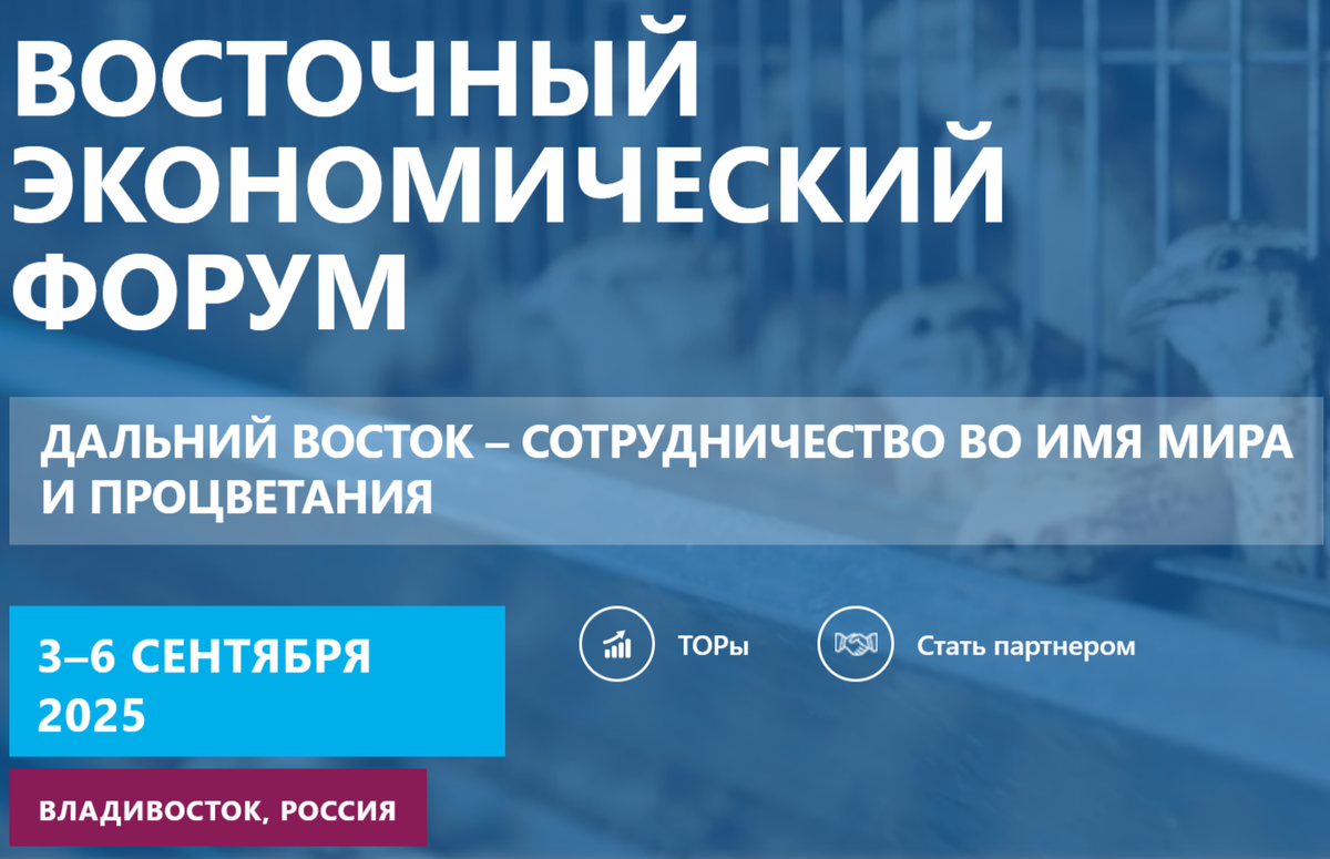 Профсоюз направил предложение рассмотреть создавшуюся ситуацию на Форуме