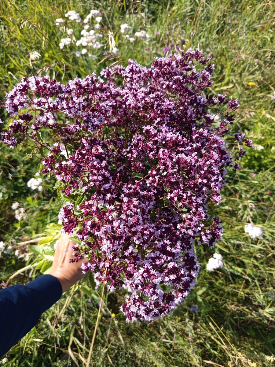 Небольшой веник