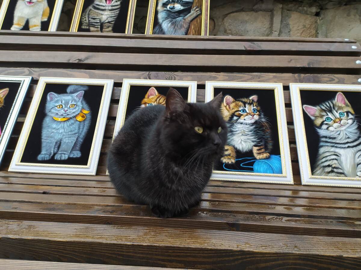 Картины на бархате.