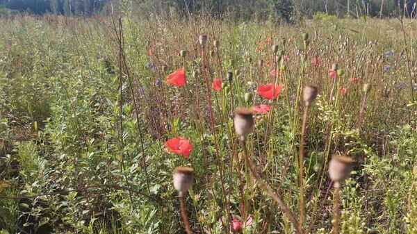    © УВД Витебского облисполкома