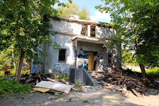   Фото: Калининград.Ru