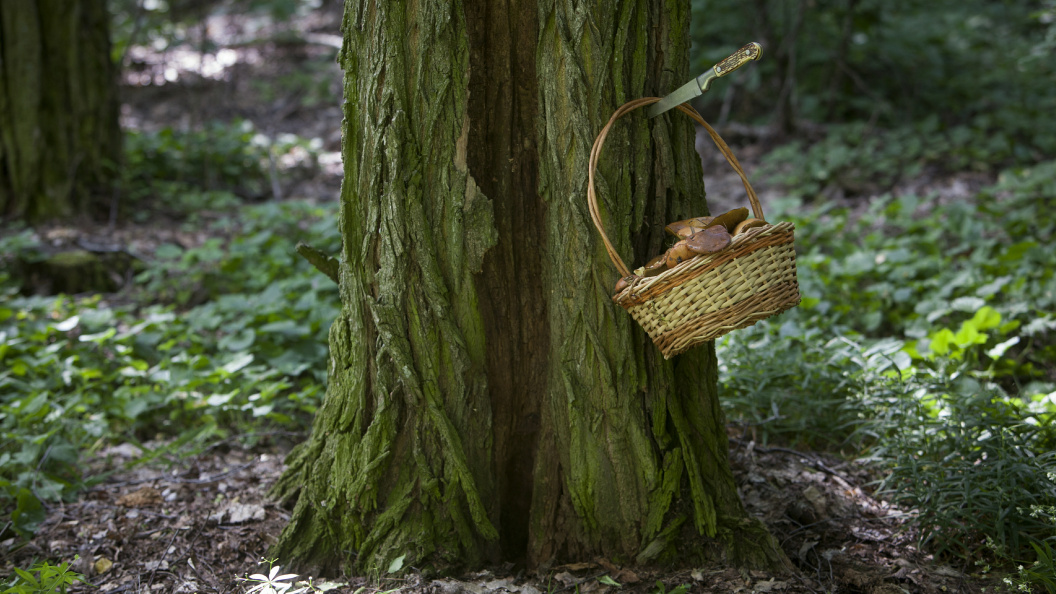    Nikolay Gyngazov, Николай/Global Look Press/Globallookpress