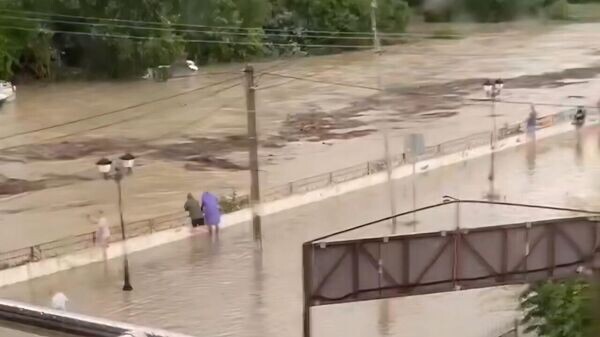    © Скриншот с видео очевидца