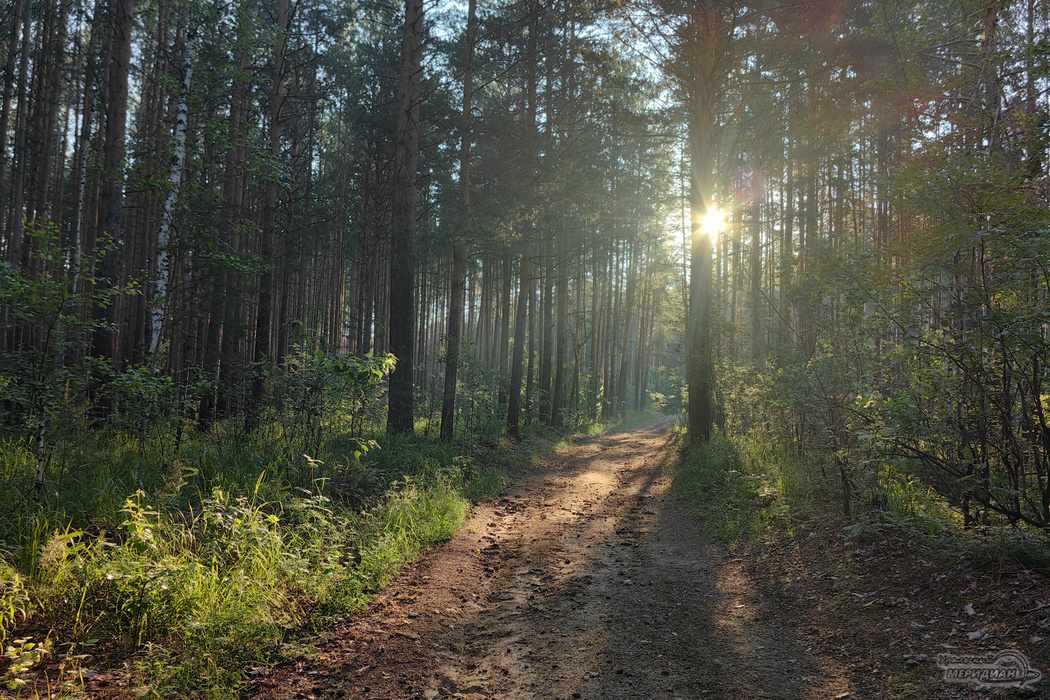    Фото: Лидия Аникина © ИА «Уральский меридиан»