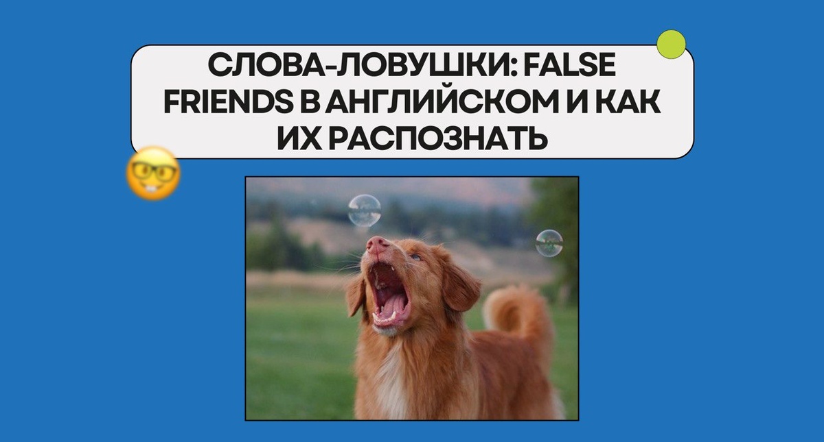 Изображение: Family English