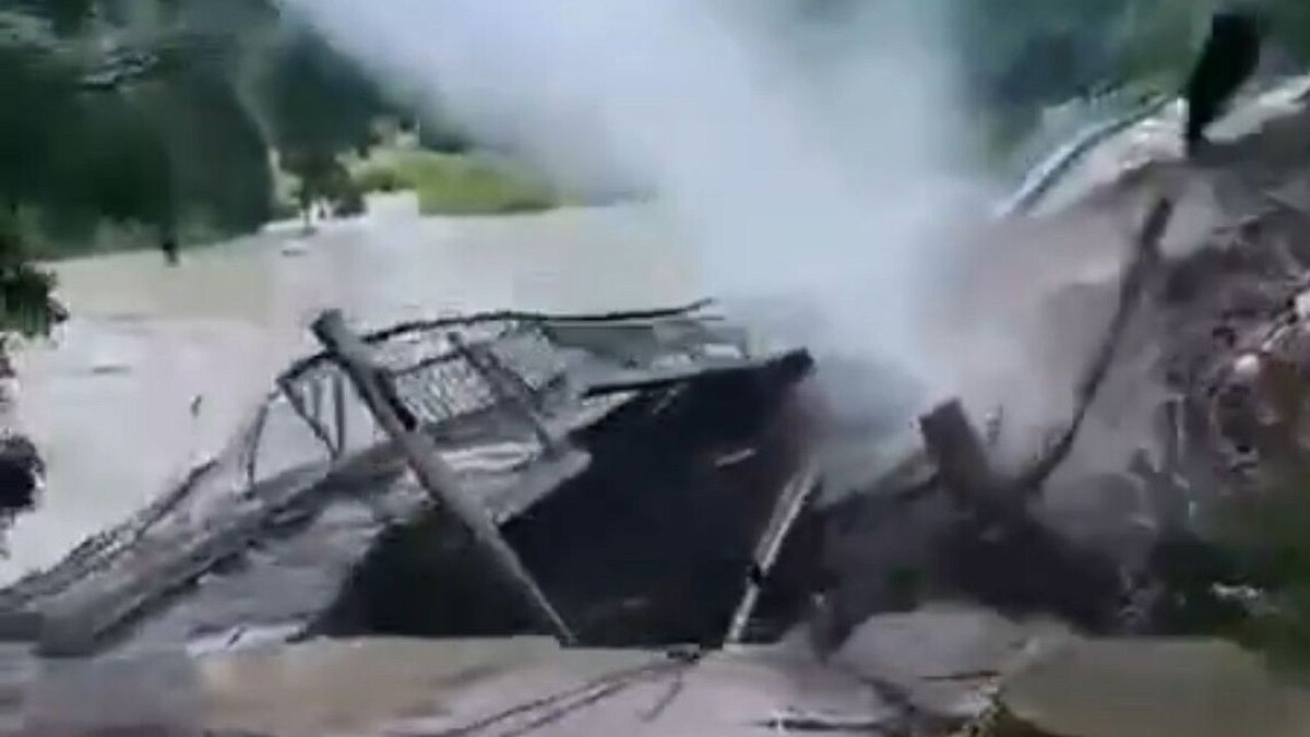    Фото: соцсети