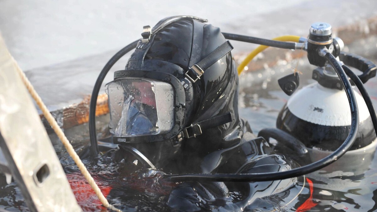    Фото: Vladimir Tretyakov/Shutterstock/Fotodom