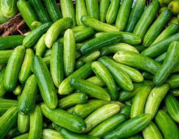 Не выбрасывайте переросшие огурцы: из них можно сделать вкусную заготовку на зиму