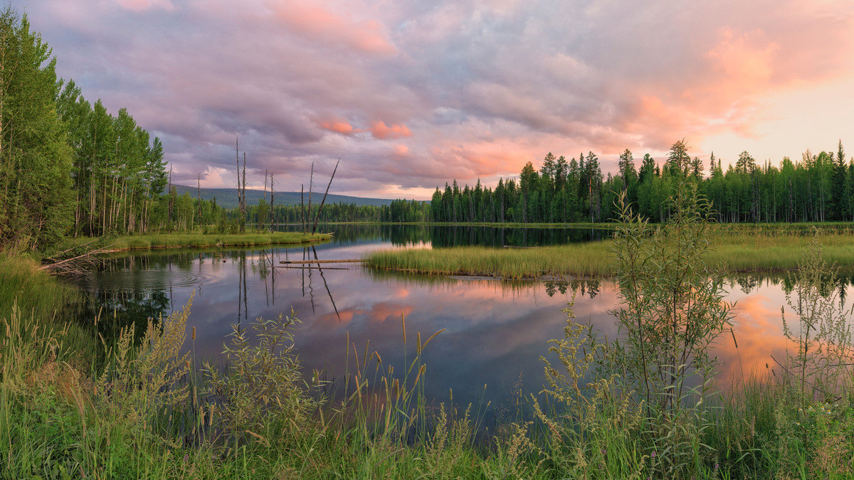 Амурская тайга. Источник: smorodina.com