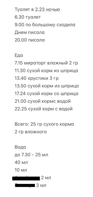Так вели учет еды и воды каждый день+учет лекартсв