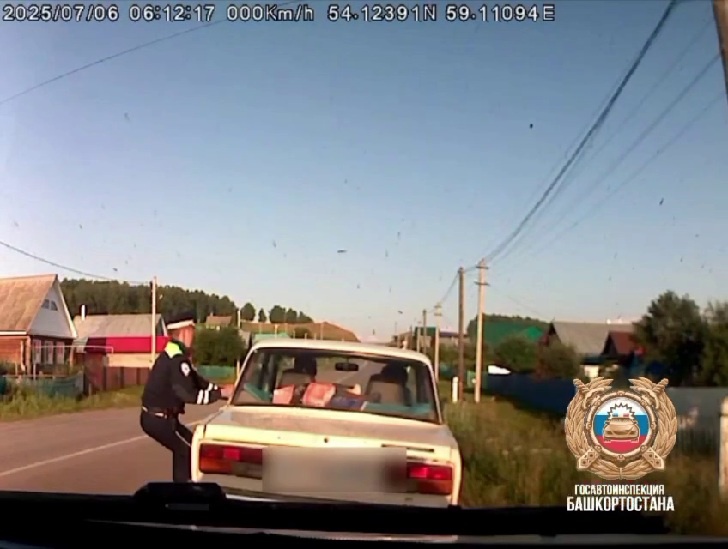    Тг-канал Владимир Севастьянов