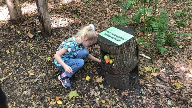      Фото: Татьяна Климова/ / ИА «Победа26»