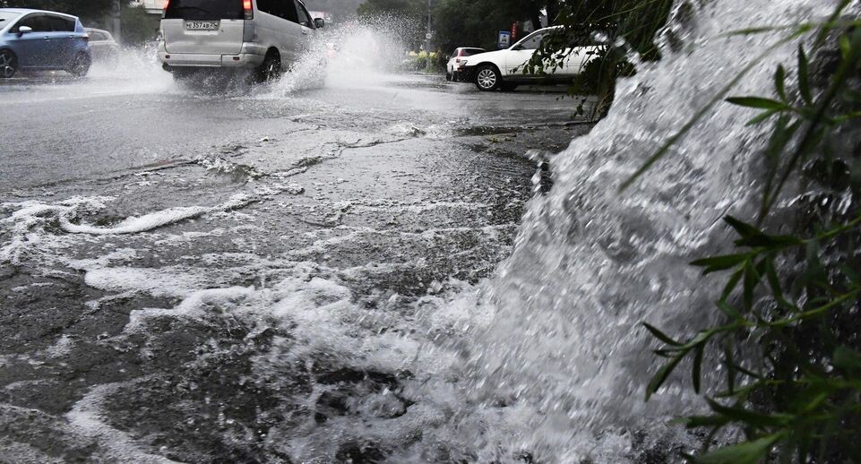    РИА «Новости»