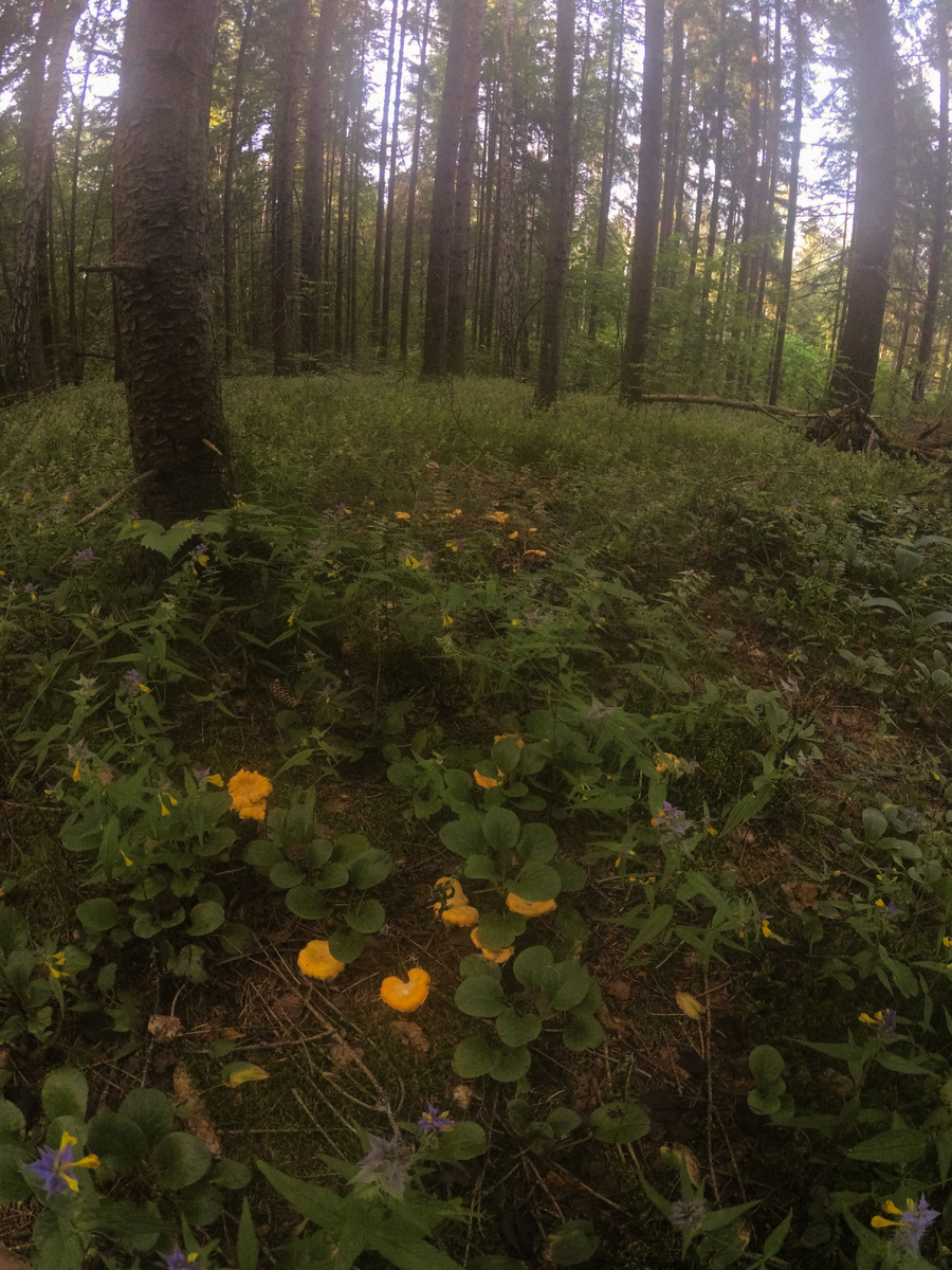 Самые лучшие и красивые семейки, как обычно, остались за кадром. Но что есть