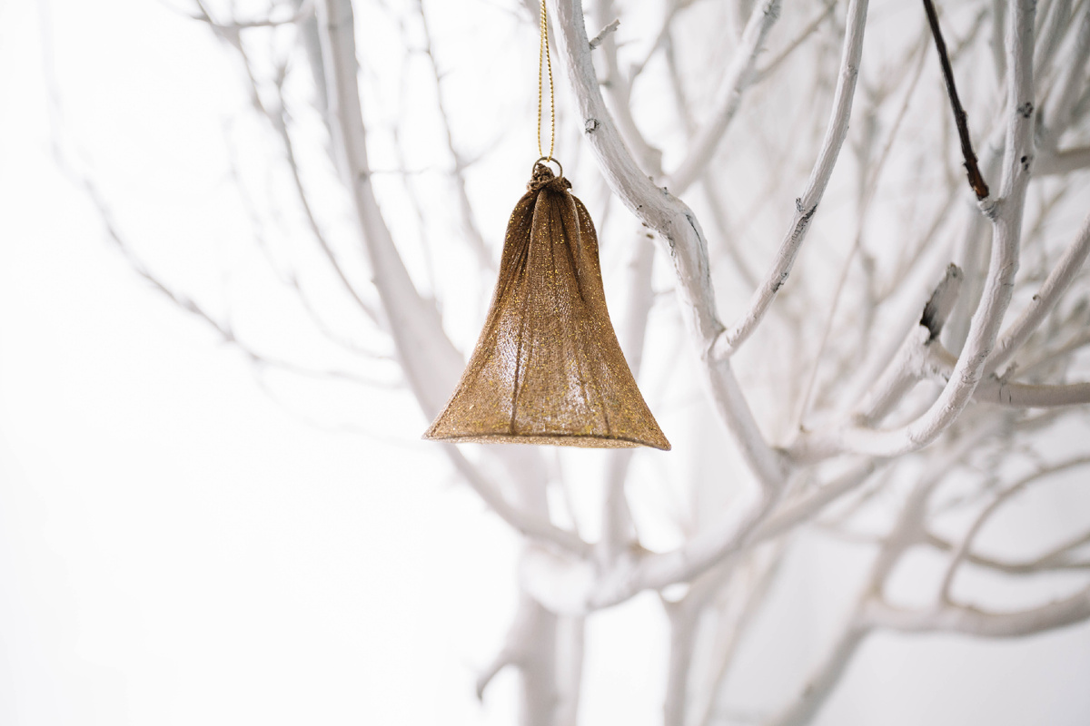 Изображение взято с сайта стоковых фотографий в открытом доступе.