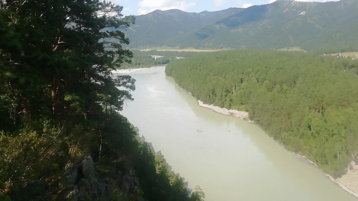 Катунь вид свеху