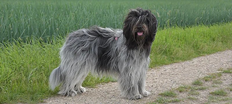 Посмотри мне в глаза!