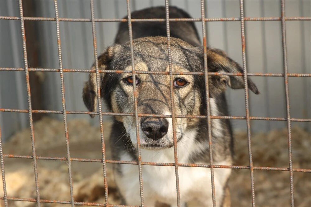    ., © РИА Томск. Алена Хлестунова