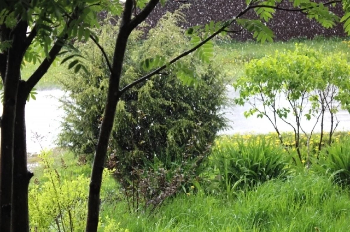    Спасатели эвакуируют детские туристические группы из зоны подтопления