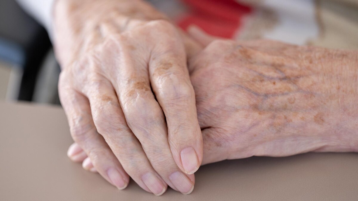    Фото: Sebastian Kahnert/globallookpress.com