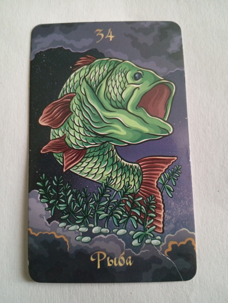 Карта 34 Рыба. Фото автора