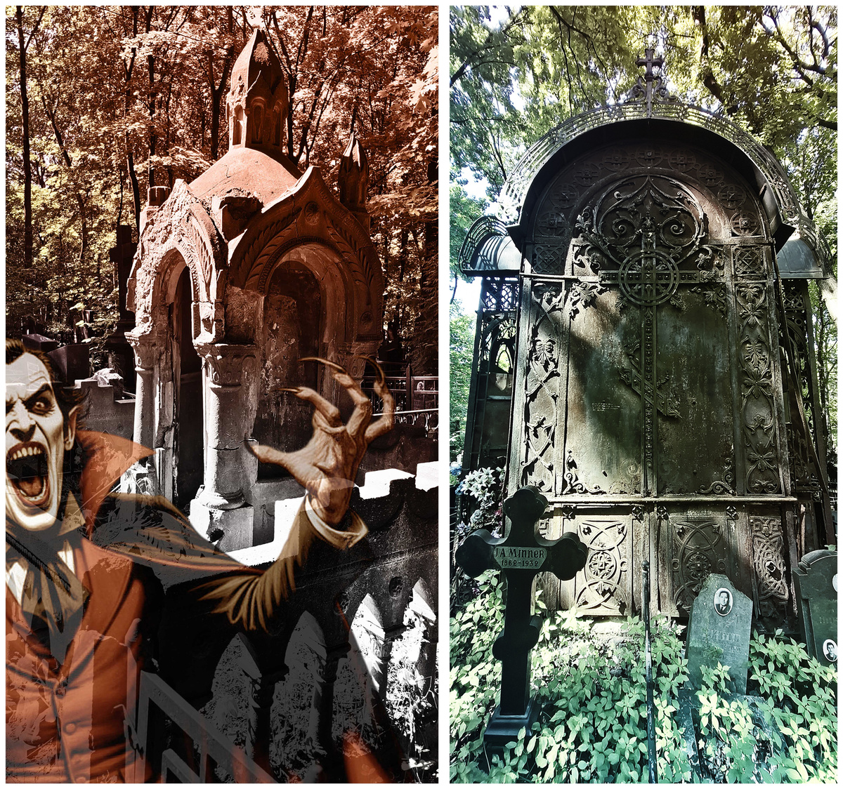 Москва, Введенское кладбище. Фото автора, а Дракула как-то сам просочился...