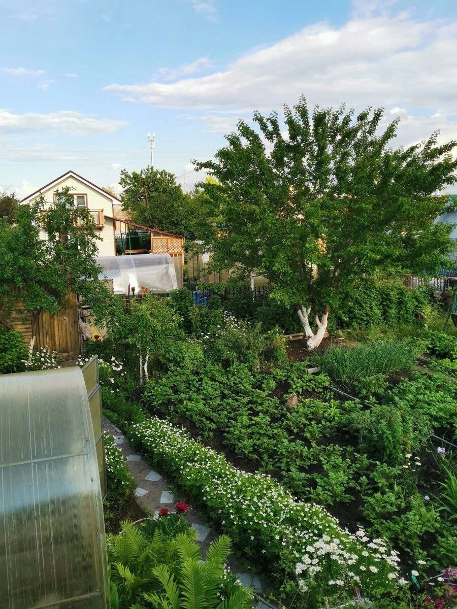    архив samaraonline24