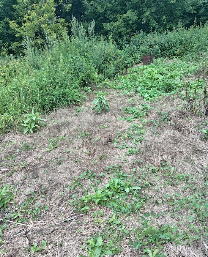 Кстати, где обрабатывала - там нормально. Четко видно границу