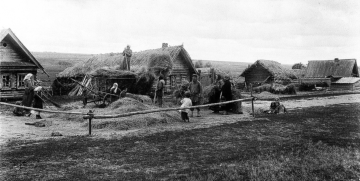 Соломы была для крестьян не только комом для скота, но и крышей, топливом... Фото из открытых источников.