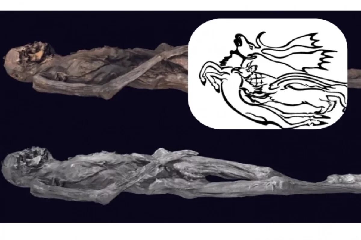    Фотограмметрически созданная трехмерная модель женской мумии из Пазырыкской гробницы 5, на которой показаны: A) текстура, полученная с помощью фотографий в видимом спектре; и B) текстура, полученная с помощью фотографий в ближнем инфракрасном диапазоне (рисунок М. Вавулина).